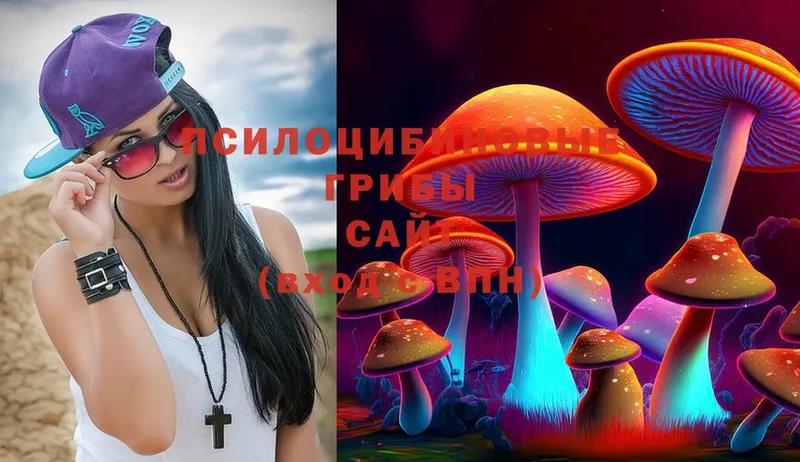 Псилоцибиновые грибы MAGIC MUSHROOMS  Трубчевск 